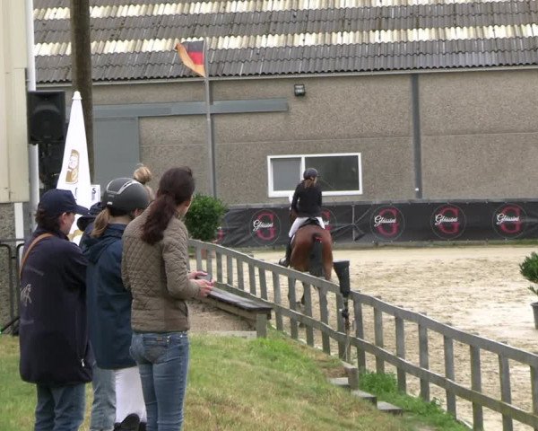 Reitturnier Kalenborn Hegehof 2023
