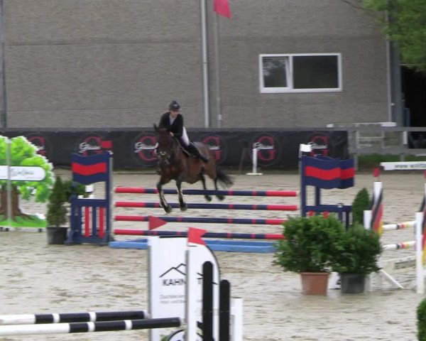 Reitturnier Kalenborn Hegehof 2023
