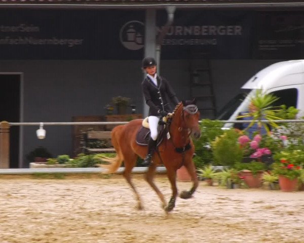 Reitturnier Uder, Reitanlage Kobold 2023