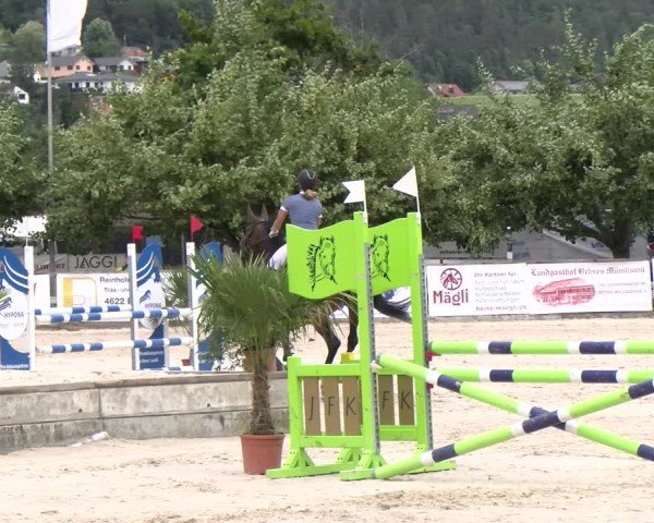 Reitturnier Balsthal 2023