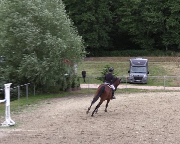 Reitturnier Bad Liebenstein/Sorga 2023