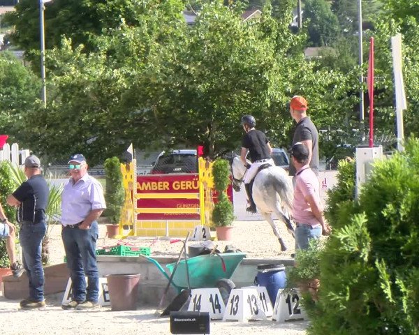 Reitturnier Balsthal 2023