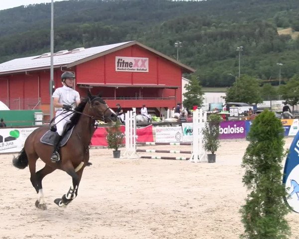 Reitturnier Balsthal 2023