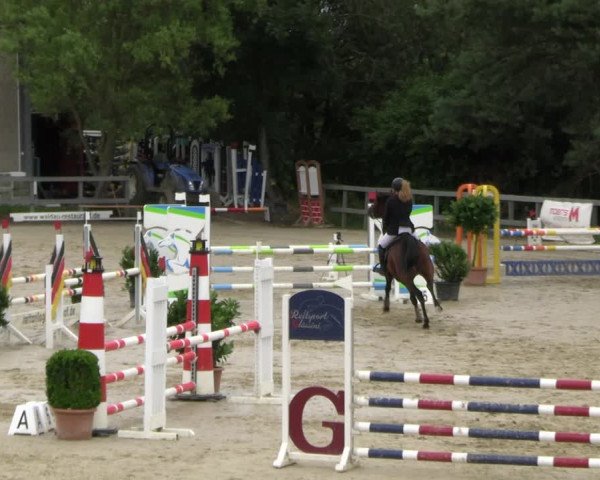 Reitturnier Kalenborn Hegehof 2023