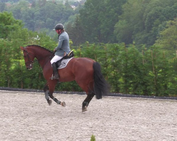 Reitturnier Margarethenhof /Beckingen 2023