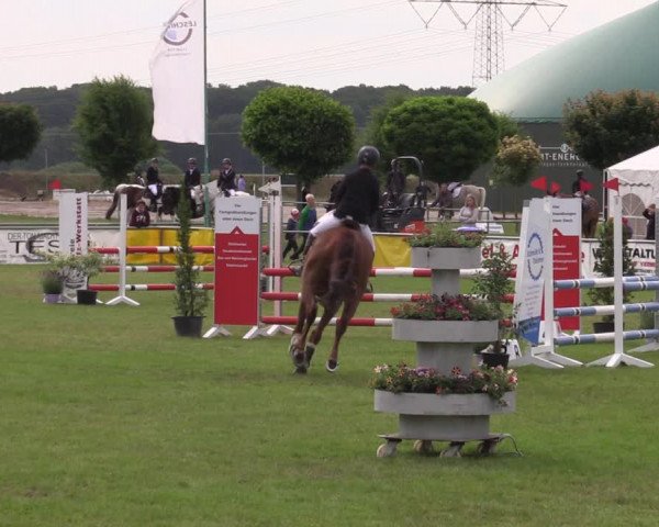 Reitturnier Dersekow 2023