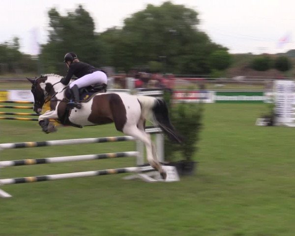 Reitturnier Dersekow 2023