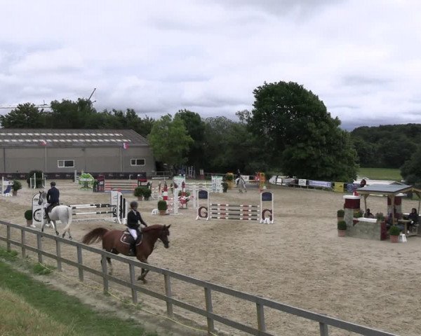 Reitturnier Kalenborn Hegehof 2023