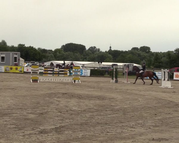 Reitturnier Neustadt/Dosse 2023