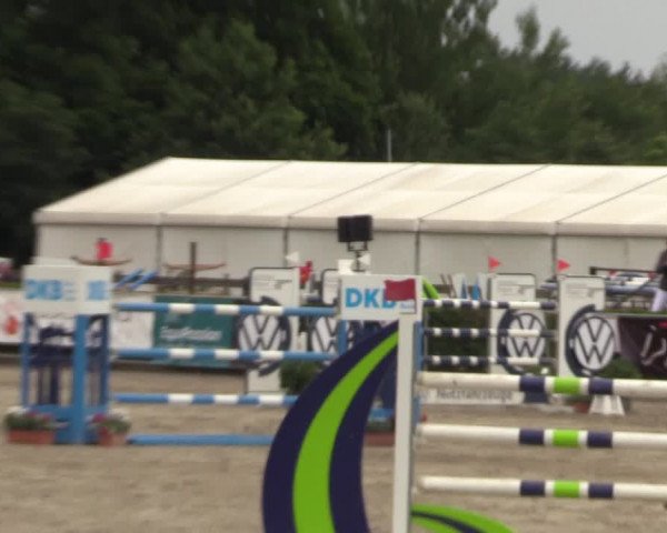 Reitturnier Neustadt/Dosse 2023