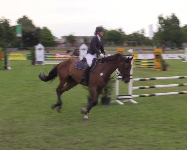 Reitturnier Dersekow 2023
