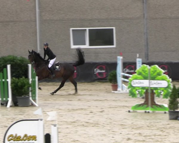 Reitturnier Kalenborn Hegehof 2023