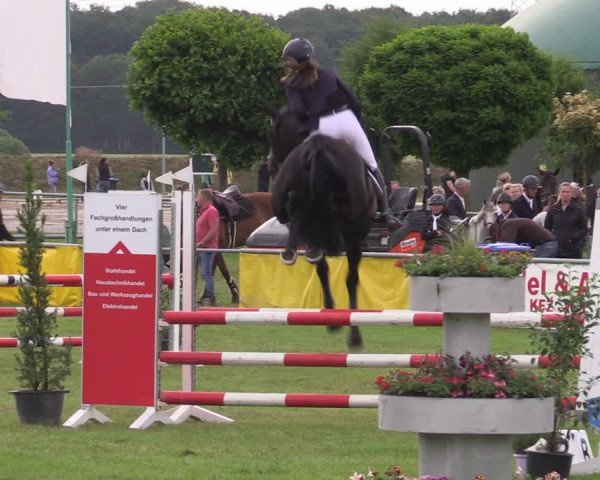 Reitturnier Dersekow 2023