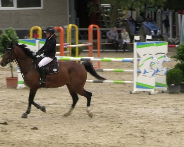 Reitturnier Kalenborn Hegehof 2023