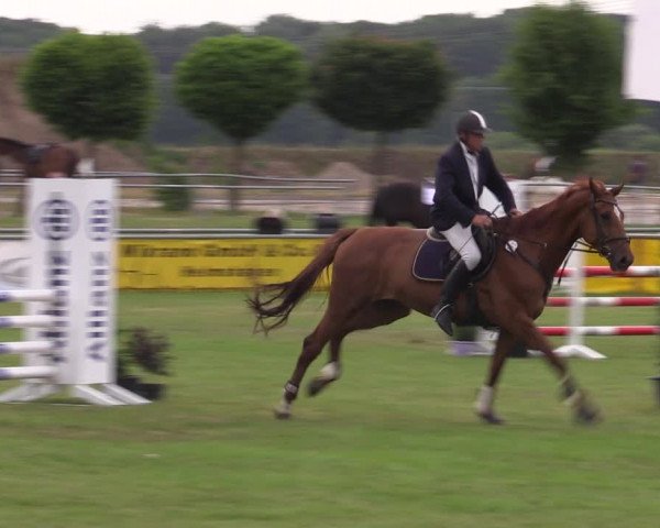 Reitturnier Dersekow 2023