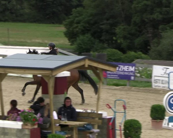 Reitturnier Kalenborn Hegehof 2023