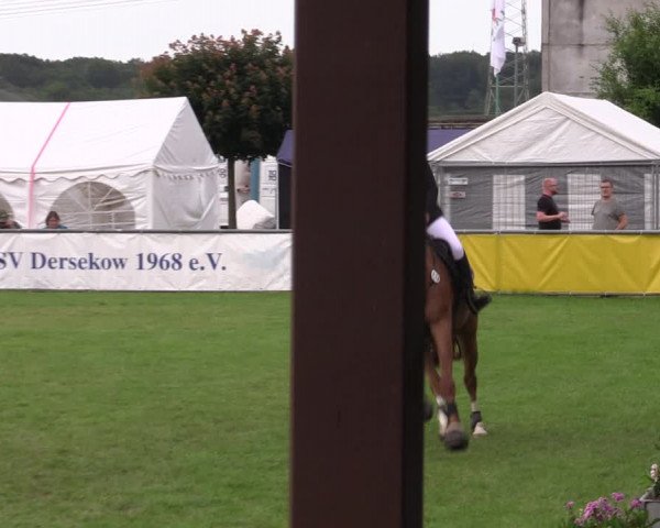 Reitturnier Dersekow 2023