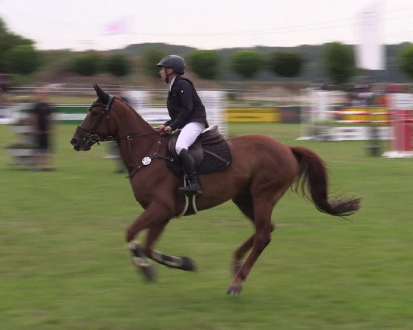 Reitturnier Dersekow 2023