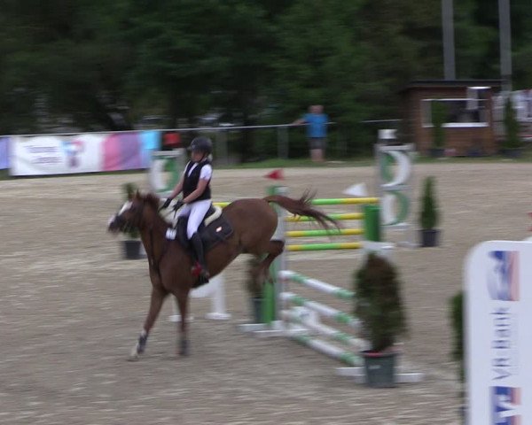 Reitturnier Bad Liebenstein/Sorga 2023