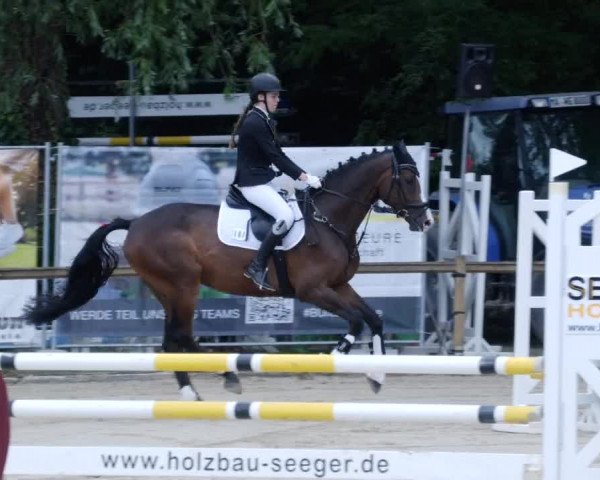 Reitturnier Walldorf/Winterheck PSG 2023