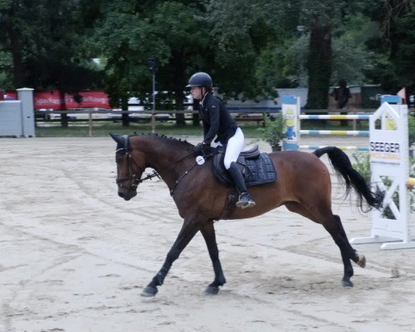 Reitturnier Walldorf/Winterheck PSG 2023