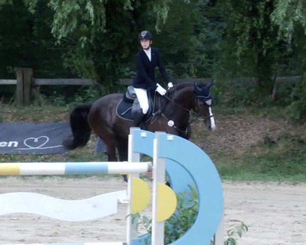 Reitturnier Walldorf/Winterheck PSG 2023