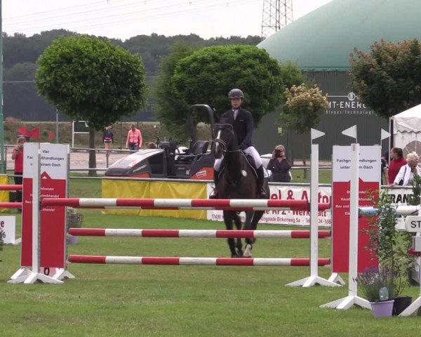 Reitturnier Dersekow 2023