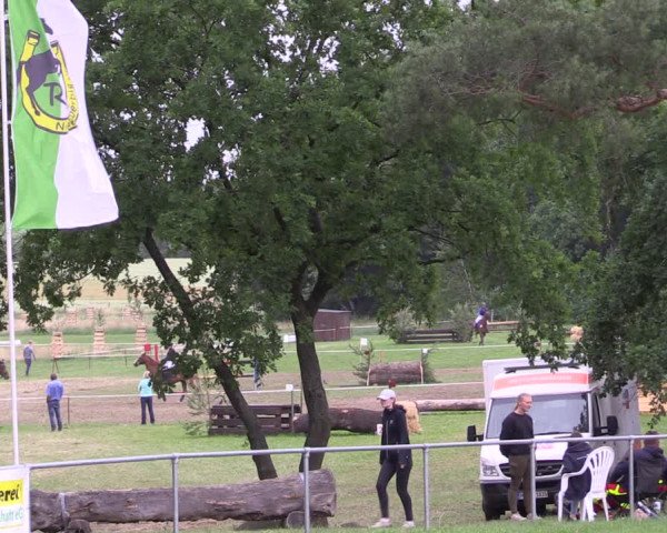Reitturnier Niederwerbig 2023