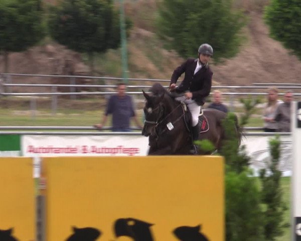 Reitturnier Dersekow 2023