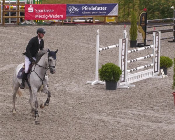 Reitturnier Margarethenhof /Beckingen 2023