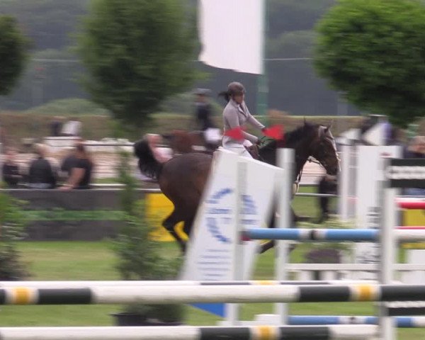 Reitturnier Dersekow 2023
