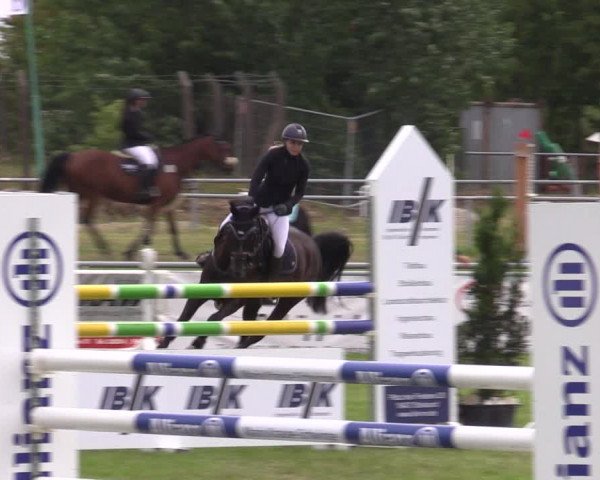 Reitturnier Dersekow 2023