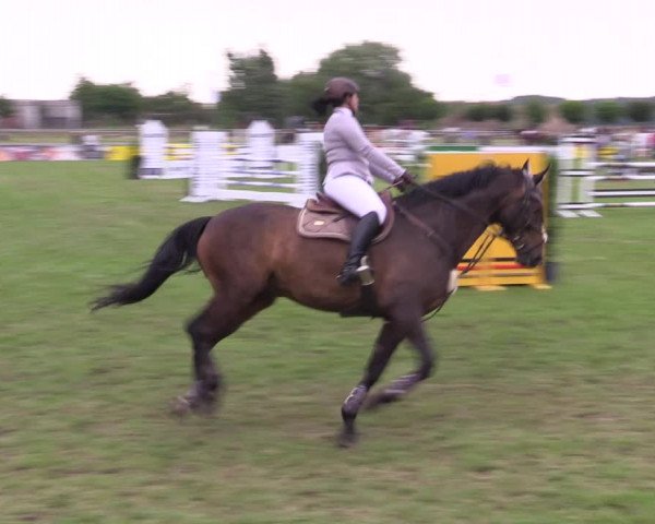 Reitturnier Dersekow 2023