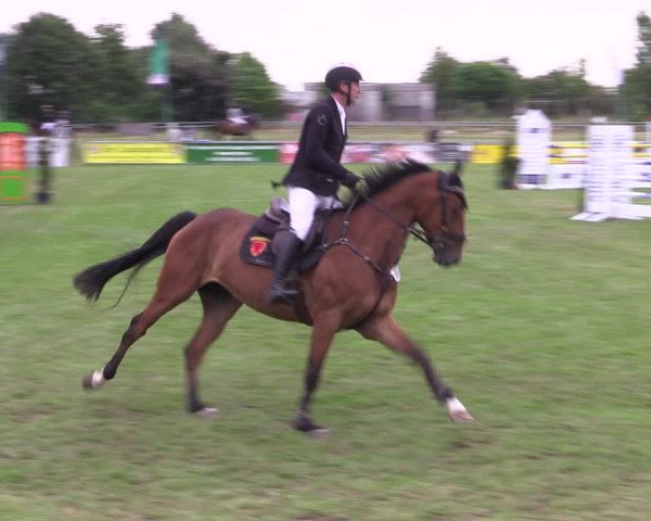 Reitturnier Dersekow 2023