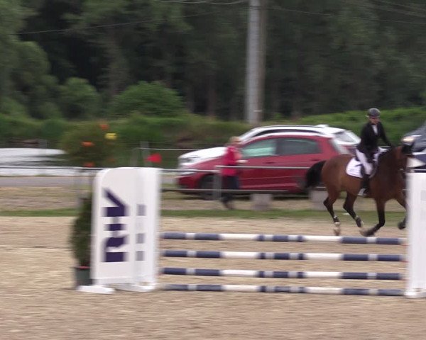 Reitturnier Bad Liebenstein/Sorga 2023