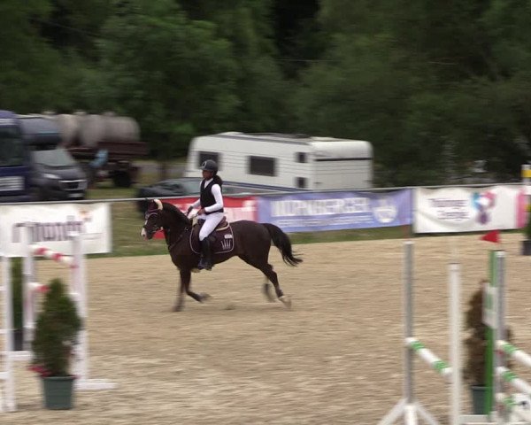 Reitturnier Bad Liebenstein/Sorga 2023