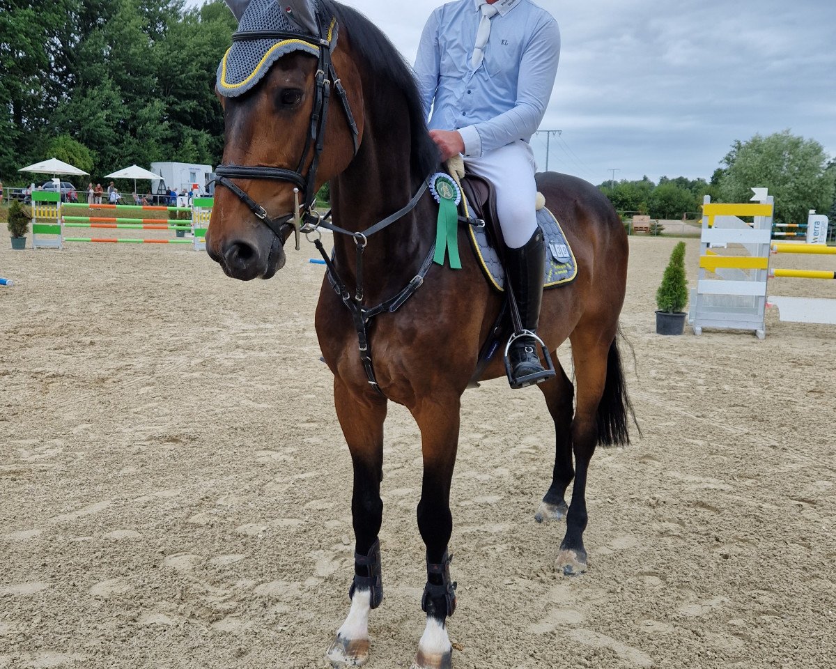 jumper Carabas 9 (German Sport Horse, 2010, from Callado 2)