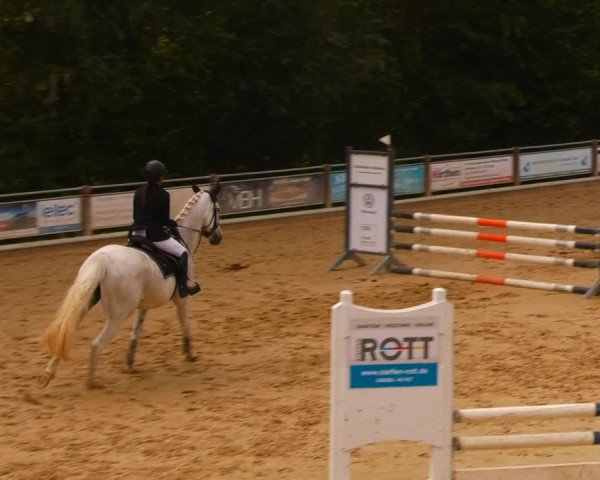 Reitturnier Uder, Reitanlage Kobold 2023