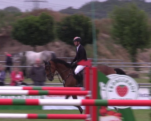 Reitturnier Dersekow 2023