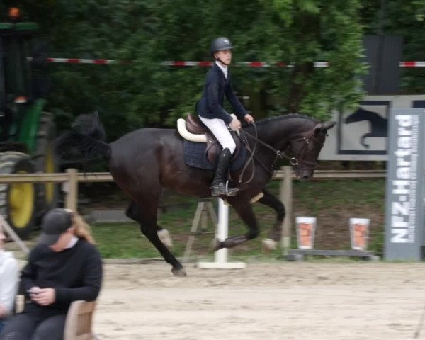 Reitturnier Walldorf/Winterheck PSG 2023