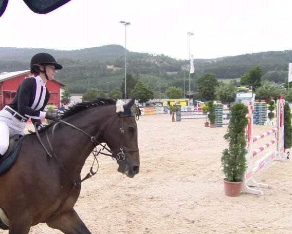 Reitturnier Balsthal 2023