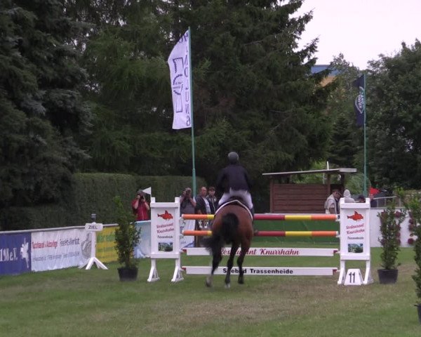 Reitturnier Dersekow 2023