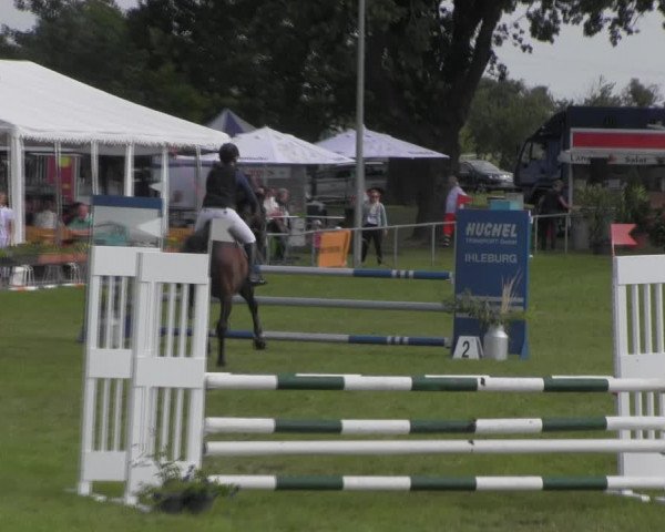 Reitturnier Ihleburg 2023