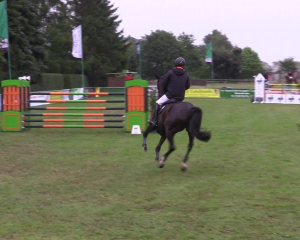 Reitturnier Dersekow 2023