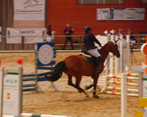 Reitturnier Uder, Reitanlage Kobold 2023