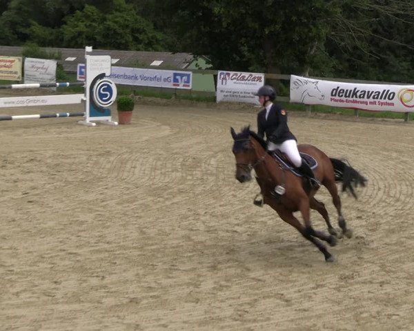 Reitturnier Kalenborn Hegehof 2023