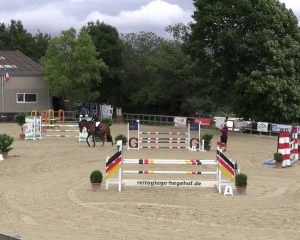 Reitturnier Kalenborn Hegehof 2023