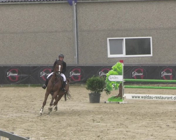 Reitturnier Kalenborn Hegehof 2023