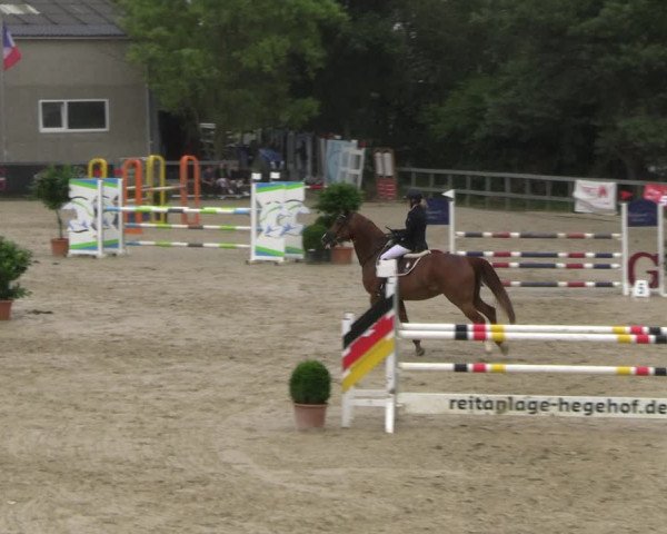 Reitturnier Kalenborn Hegehof 2023