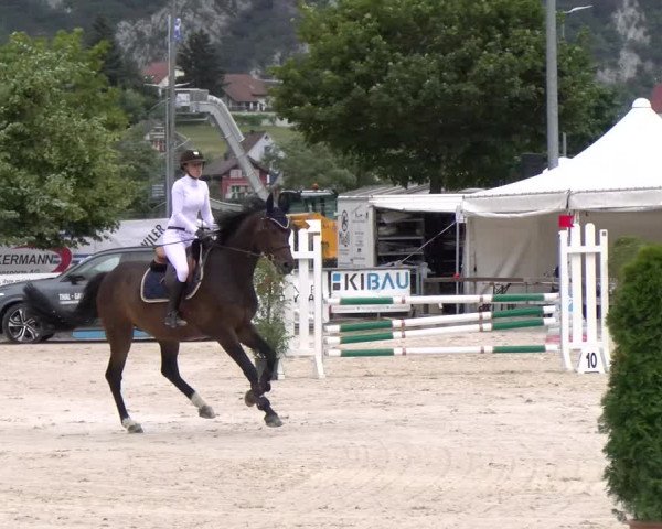 Reitturnier Balsthal 2023